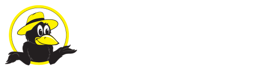 Fiesta Insurance