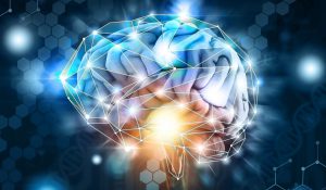 The neurosciences underlying the models of Digital Role Play
